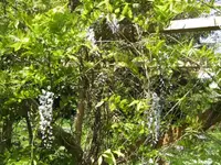 BILD6518.webp