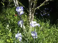 BILD6499.webp