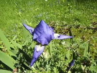 BILD6521.webp