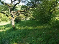 IMG_20170516_164158.webp