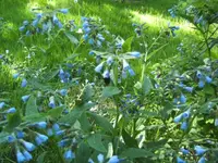 BILD6507.webp