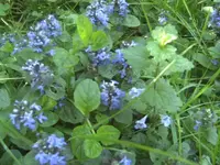 BILD6510.webp