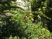 BILD6498.webp