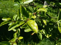 IMG_20170516_164634.webp