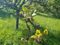 IMG_20170516_164721.webp