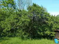IMG_20170516_164750.webp