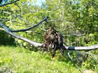 IMG_20170516_164829.webp