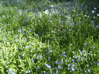 BILD6504.webp