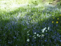 BILD6506.webp
