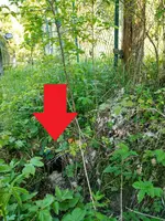IMG_20170516_165508_2 - Kopie.webp