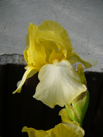 P1130761.webp
