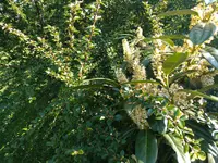 IMG_20170516_164318.webp