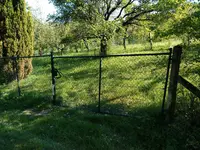 IMG_20170516_165704.webp