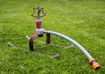Sternregner-auf-Silberquell-Stativ.webp