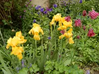 DSCN4487.webp