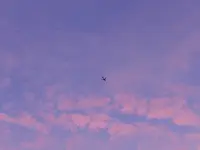 DSCN0515.webp