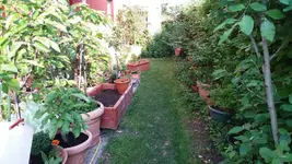 07_20170518_185520_resized.webp