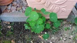 02_20170518_185703_resized.webp