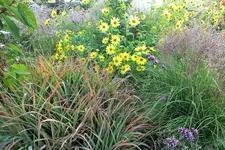 DSCF7460 (2).webp