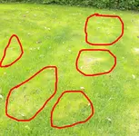 Fleccken_01.webp