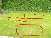 Fleccken_02.webp