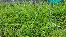20170520_152118.webp
