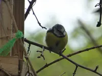 P1020440.webp