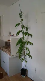 20170520_161053.webp