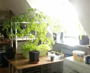 20170520_172021-1.webp