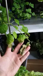 20170520_174238.webp