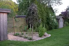 IMGP0606.JPG