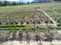 IMG_20170519_171633.webp