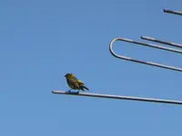 P1020443.JPG