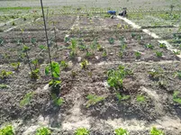 IMG_20170519_171659.webp