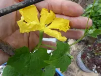 P1020229.webp