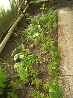 BILD6549.webp
