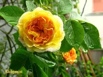 IMG_8022.JPG