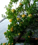 IMG_8122.webp
