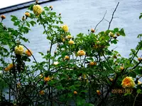 IMG_8126.webp