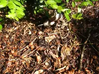 BILD6525.webp