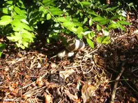 BILD6526.webp