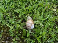 BILD6530.webp