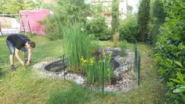 20170520_181717.webp
