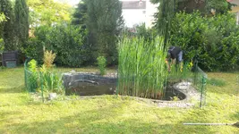 20170520_181739.jpg