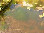 20170521_105918.jpg