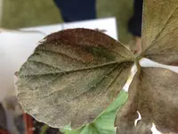 IMG_0309.webp IMG_0309.webp