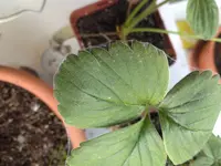 IMG_0308.webp IMG_0308.webp