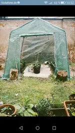 Gewaechshaus.webp