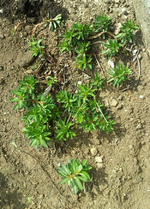 IMG-20170521-WA0001-1.webp