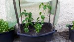 IMG-20170521-WA0015.jpg